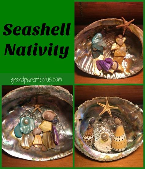 Seashell Nativity Craft Project - GrandparentsPlus.com Seashell Nativity, Baby Jesus Craft, Nativity Display, Nativity Craft, Jesus Crafts, Types Of Shells, Seashell Ornaments, Nativity Ornaments, Nativity Crafts