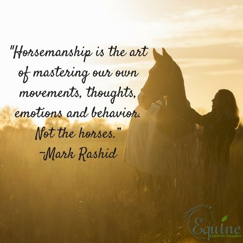 Mark Rashid Quotes, Horsemanship Quotes, Energy In Motion, Equine Quotes, Horse Behavior, Inspirational Horse Quotes, Horse Riding Quotes, Equestrian Quotes, Riding Quotes