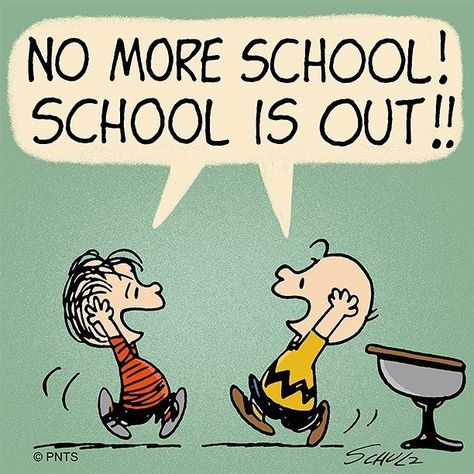 No more school! School is out! Linus and Charlie Brown. School Holiday Quotes, Holiday Funny Quotes, Snoopy School, Holiday Quotes Funny, Holiday Meme, Charlie Brown Quotes, Snoopy Cartoon, Peanuts Cartoon, Snoopy Quotes