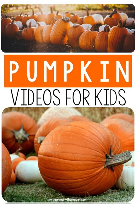 Pumpkin Videos for Kindergarten and First Grade - Primary Theme Park Human Body Videos, Pumpkin Investigation, Pumpkin Lessons, Pumpkins Kindergarten, Pumpkin Unit, Autumn Teaching Ideas, October School, October Activities, Halloween Kindergarten