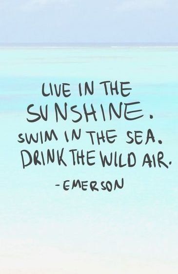 Travel Quotes  Inspirational Beach Quotes; Marco Island Love; Beach Lovin'; Florida Vacations; I Love the Beach Island Life Quotes, Drink The Wild Air, Live In The Sunshine, Vibe Quote, Best Travel Quotes, Ocean Quotes, Travel Quotes Inspirational, Beach Quotes, Life Thoughts