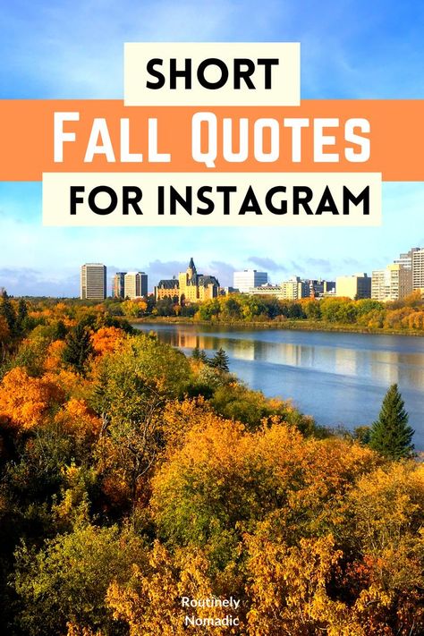 Changing fall leaves along a river in Saskatoon with the words short fall quotes for Instagram Autumn Days Quotes, Fall Adventure Quotes, Fall Weekend Quotes, Funny Fall Quotes Autumn, November Quotes Short, Fall Quotes And Sayings Instagram, Cute Fall Quotes Short, Fall Colors Quotes, Autumn Quotes Inspirational Short