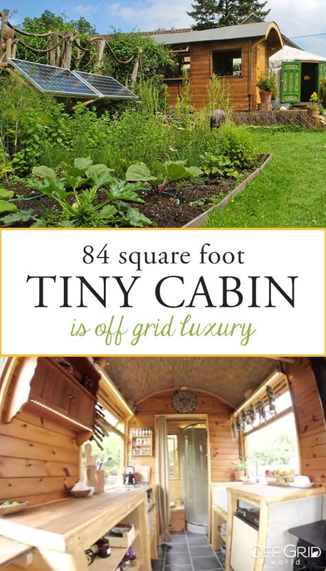 Spectacular Tiny Cabin is Off Grid Luxury on a Budget - Off Grid World Off Grid House Plans, Small Cabins On A Budget, Off Grid Luxury, Tiny Cabins Interiors, Luxury On A Budget, Grid Ideas, Off Grid Tiny House, Off Grid House, Off Grid Cabin