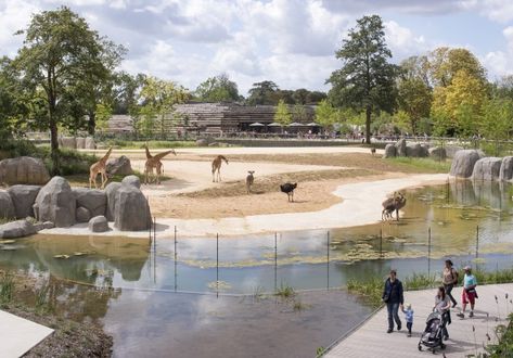 Paris Zoological Park - Topos Zoo Architecture, Architecture Portfolio Layout, Zoo Park, Animals And Nature, Desert Animals, Architecture Collage, Image Nature, The Zoo, Architecture Portfolio