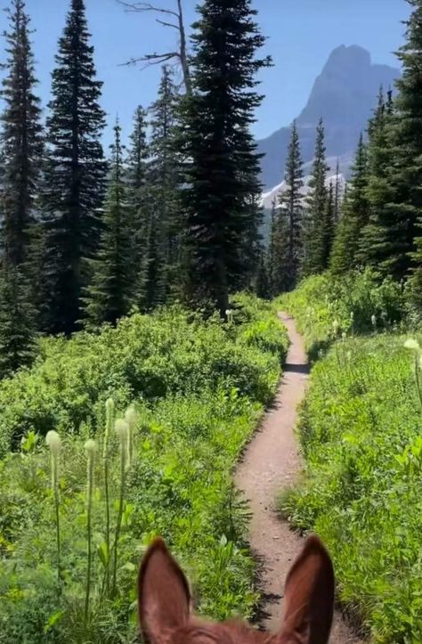 Morning Ride on a trail of somewhere Beautiful Heartland Aesthetic, Horseback Riding Aesthetic, Riding Aesthetic, Vacay Pics, Ranch Living, Ranches Living, Western Trail, Morning Ride, Trail Ride