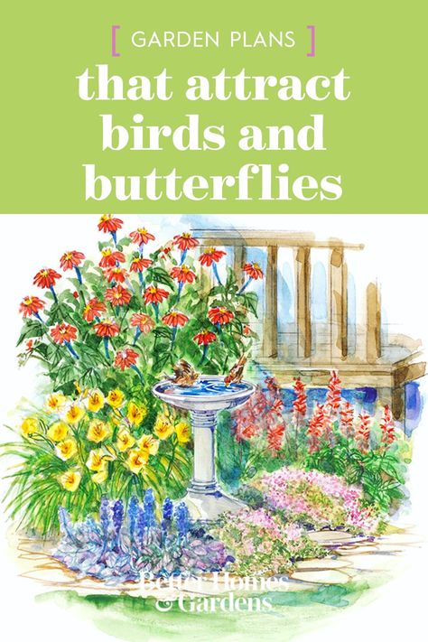 Pollinators Garden Design, Small Butterfly Garden Design, Garden For Butterflies, Backyard Butterfly Garden Design, Small Bird Garden Ideas, Butterfly Garden Design Layout Flower Beds, Corner Butterfly Garden Ideas, Bird Butterfly Garden, Plants Butterflies Like