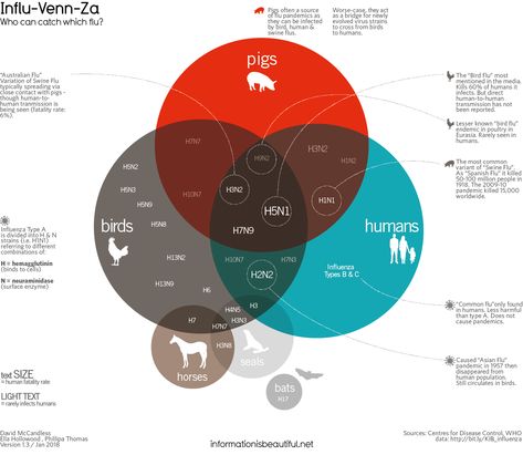 H1N1? H2N5? H7N9? Bird flu? Swine flu? Australian Flu? Feverish with incomprehension? Let our Influ-Venn-Za diagram relieve  you with a soothing lozenge of understanding. Healthcare Advertising, Data Visualization Design, Venn Diagram, Diagram Design, Information Graphics, Information Design, Data Visualization, Infographic Design, Pigs