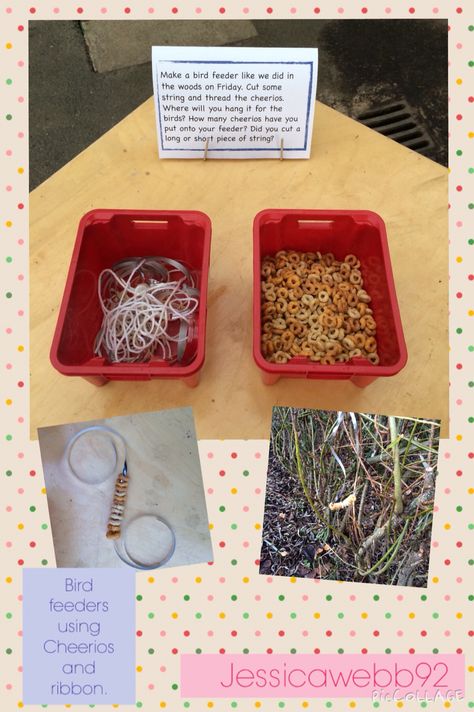 Making bird feeders using Cheerios and ribbon. EYFS Birds Topic Eyfs, Nature, Woodland Animals Eyfs Activities, Bird Eyfs Activities, Percy Park Keeper Eyfs, January Eyfs Activities, Vets Eyfs Activities, Percy The Park Keeper Eyfs Activities, Vets Eyfs