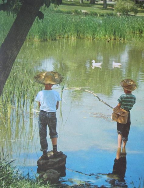 Quirky Groom Shower Ideas You Will Definitely Enjoy Montessori, Groom Shower Ideas, Pond Paintings, Fish Inspiration, Postcard Idea, I Can Wait, Fish Paintings, Fishing Pond, Man Fishing