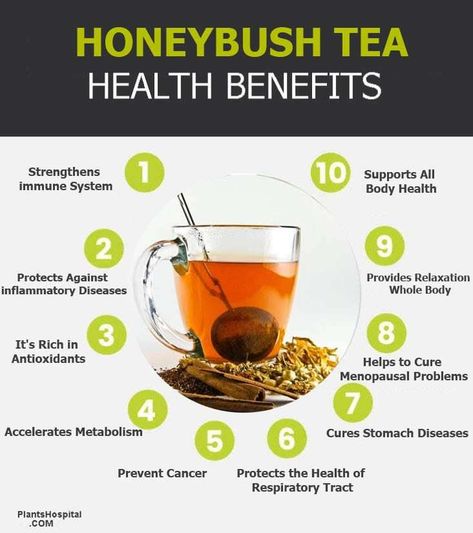 9 Proven Health Benefits Of Honeybush Tea (Cyclopia Subternata) 2 Honeybush Tea Benefits, Honeybush Tea, Strengthen Immune System, Food Health Benefits, Tea Health Benefits, Tongue Health, Asthma Symptoms, Tea Benefits, Stomach Pain