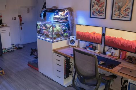 Home Office Aquarium, Office With Fish Tank, Fish Tank On Desk, Apartment Aquarium, Desk Fish Tank, Bedroom Aquarium, Aquarium Bedroom, Desk Aquarium, Small Den Ideas