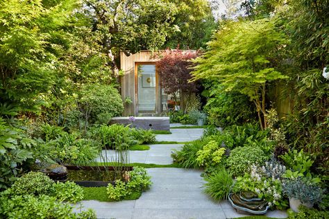 Garden Design London, Townhouse Garden, Tattoo Plant, Small Courtyard Gardens, Courtyard Gardens Design, Corner Garden, London Garden, Have Inspiration, City Garden