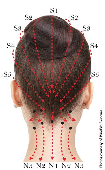 Facial Recontouring with Meridian Massage | Skin Inc. Face Meridians, Tcm Traditional Chinese Medicine, Meridian Points, Meridian Massage, Reflexology Chart, Internal Organs, Cupping Therapy, Acupuncture Points, Acupressure Points