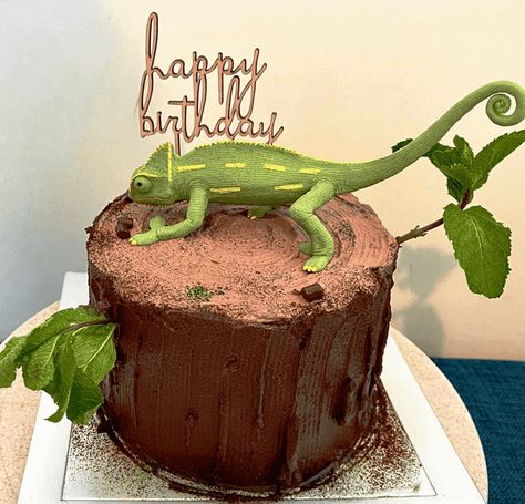 Chameleon Birthday Cake Ideas Images (Pictures) Geko Lizard Cake, Lizard Birthday Party Ideas, Chameleon Birthday Party, Lizard Birthday Cake Ideas, Reptile Cakes For Boys, Reptile Birthday Cake, Chameleon Cake, Reptile Cake, Lizard Cake