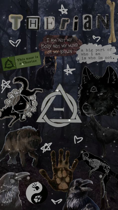 hey followers im finally back!! sorry for the disappearance qwq. this wallpaper represents me (a therian),the following animals are shown: wolf,cat,crow. (I forgot to add a domestic dog but it's included as one of the animals I'm connected to). The wolf is shown the most of here because it's the one I'm connected to the most. hope u enjoy this and please don't send me any hate for it!!! Wolf Therian Wallpaper, Lumberjack Wallpaper, Therian Background, Wolves Wallpaper, Therian Wolf, Therian Wallpaper, Serious Black, Wolf Therian, Wolf Cat