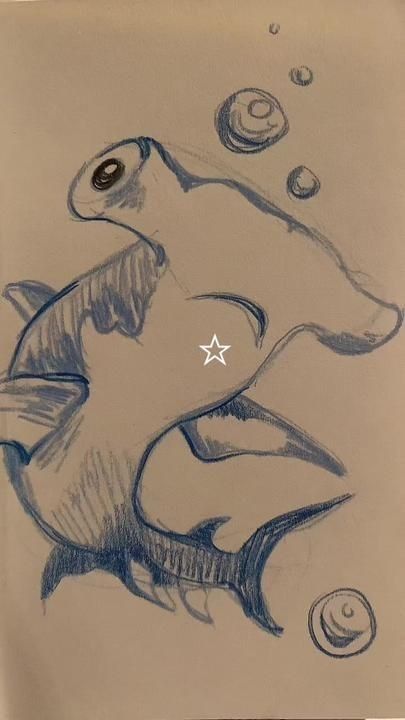 Hammerhead Shark Drawing Sketches, Sharks Doodle, Whale Shark Drawing Sketches, Sting Ray Sketch, Cute Ocean Animals Drawings, Hammer Head Shark Drawings, Sea Animals Drawing Sketch, Shark Drawing Simple, Sharks Sketch