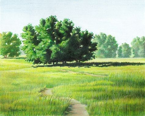 Basic tips and suggestions on how to draw a landscape green that looks real. Includes suggestions for color choices and drawing methods. Colored Pencil Landscape, Best Colored Pencils, Pencil Landscape, Colour Pencil Art, Art Colored Pencil, Color Pencil Sketch, Color Pencil Illustration, Colored Pencil Tutorial, Draw Realistic