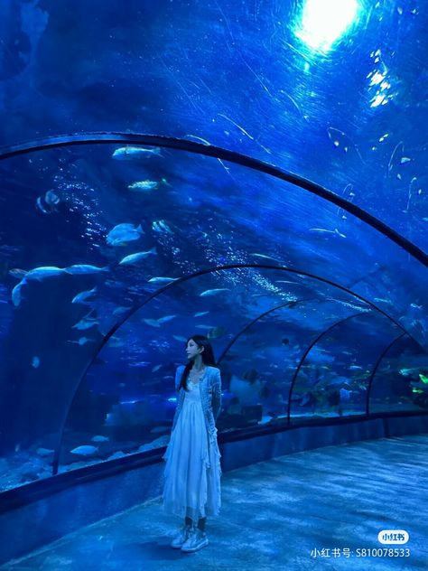 Ocean Park Aesthetic, Aquarium Inspo Pics, Aquarium Photoshoot Photo Ideas, Aquarium Date Outfit Ideas, Aquarium Pose Ideas, Aquarium Aesthetic Outfit, Aquarium Photo Ideas, Aquarium Photoshoot, Aquarium Outfit Ideas