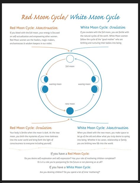 RED MOON VS WHITE MOON CYCLES – Birthing Divinity Holistic Consulting Red Moon Cycle, Woman Health, Womb Healing, Moon Time, New Moon Rituals, Moon Cycle, Full Moon Ritual, Menstrual Health, White Moon