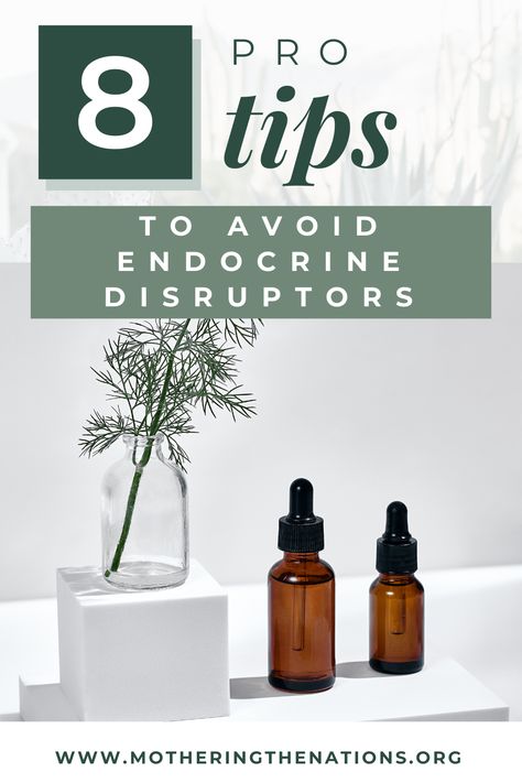 What are endocrine disruptors? This guide will tell you what endocrine disruptors are, the most common offenders, and the the best tips to avoid them. Grocery Store Shelves, Chromosomal Abnormalities, Sperm Health, Best Water Filter, Fertility Health, Endocrine Disruptors, Developmental Disabilities, Eating Organic, Endocrine System