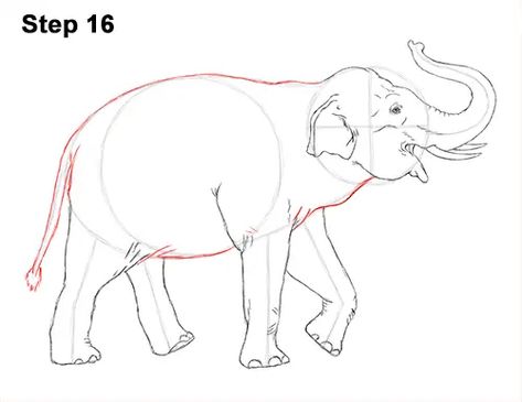 Asian Elephant Drawing 16 Asian Elephant Drawing, Elephant Line Drawing, Drawing Instructions, Ganapati Decoration, Elephant Drawing, Popular Cartoons, Asian Elephant, Wood Carving Designs, Carving Designs