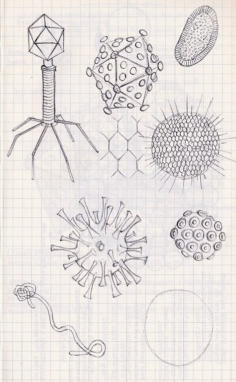 Sketches for viruses/bacteria Bacteria Cartoon, Biotechnology Art, Medicine Aesthetic, Hospital Art, Biology Drawing, Aesthetic Medical, Science Tattoos, Dna Tattoo, Doctor Hospital