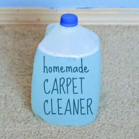 DIY Concentrated Carpet Cleaning Solution Home Made Carpet, Homemade Carpet Cleaner Solution, Homemade Carpet Cleaner, Homemade Carpet Cleaning Solution, Tide Laundry Detergent, Carpet Cleaning Recipes, Carpet Diy, Carpet Cleaner Solution, Carpet Cleaner Homemade