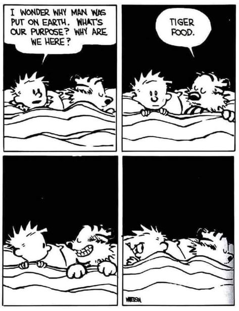 Calvin And Hobbes Humor, Best Calvin And Hobbes, Calvin Und Hobbes, Calvin And Hobbes Quotes, Sunday Comics, Bill Watterson, Calvin And Hobbes Comics, Sika Deer, Cartoon Strip