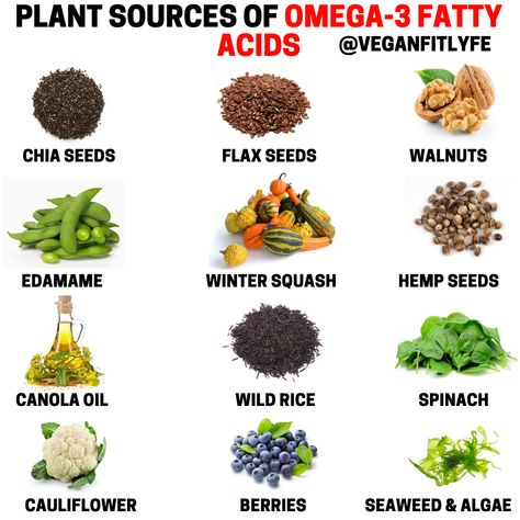 Omega 3 Sources, Function Of Heart, Omega 3 Foods, Plant Diet, Heart Lungs, Omega 3 Fatty Acids, Cell Membrane, Endocrine System, Brain Food