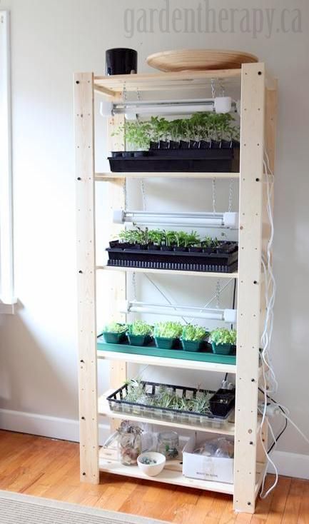 Genius. Why did I never think of vertical? it sure would be nice to get my kitchen table back!  Grow Light Shelving for Seed Starting Indoors Seed Starting Indoors Diy, Seed Starting Indoors, Seed Starting Containers, Indoor Vegetables, نباتات منزلية, Indoor Greenhouse, Starting Seeds Indoors, Indoor Vegetable Gardening, Have Inspiration