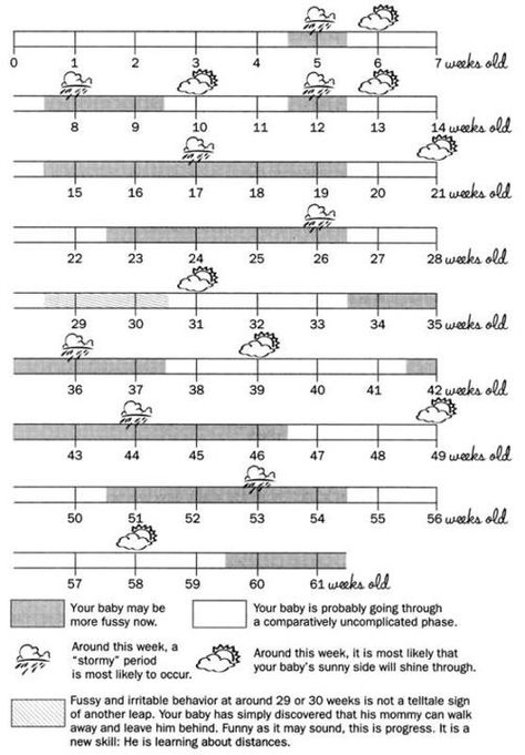 Fussy Baby Times - If this is true, no wonder I'm in the midst of a storm! Wonder Weeks Chart, Baby Growth Spurts, Wonder Weeks, Baby Growth, Baby Center, Babies First Year, Baby Development, Everything Baby, Baby Health