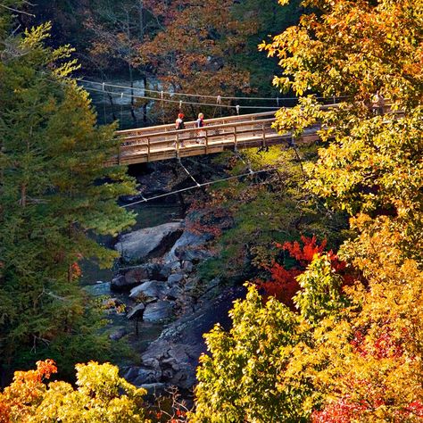 10 national parks to avoid the summer crowds Blue Ridge Scenic Railway, Chattahoochee National Forest, Carlsbad Caverns National Park, Georgia Atlanta, African American Museum, Channel Islands National Park, Kenai Fjords, American Colonies, National Park Road Trip