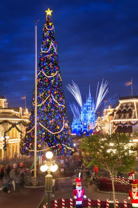 Magic Kingdom Christmas Tree Magic Kingdom Christmas, Disney World Halloween, Disney Christmas Decorations, Disneyland Christmas, Disney World Christmas, Very Merry Christmas Party, Colonial Christmas, Christmas Events, Beautiful Christmas Trees