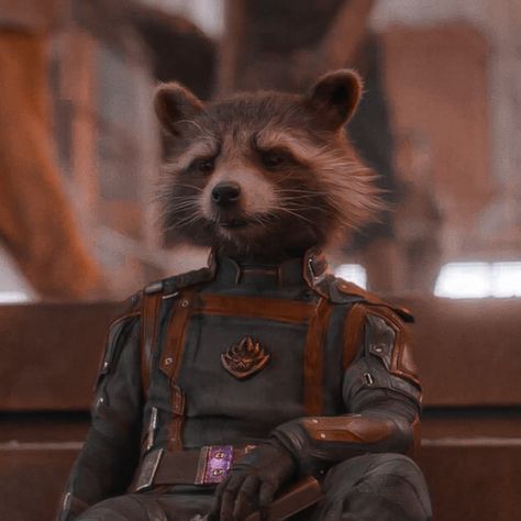 Hear Me Out People, Rocket Raccoon Pfp, Rocket Raccoon Aesthetic, Literally Me Characters Icon, Guy Cartoon Characters, Guardians Of The Galaxy Icons, Here Me Out, Hear Me Out, Gotg Rocket