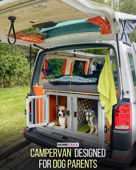 Fellschnute VW Dog Campervan Conversion Dog Camper, Camper Dog, Dog Bench, Campervan Conversion, Cat Towers, Rv Adventure, Van Home, Ground Breaking, Campervan Conversions