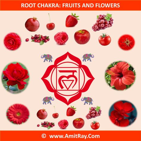 Root Chakra Fruits and Flowers Root Chakra Symbol, Red Chakra, Symbols And Their Meanings, Exercise Board, Second Chakra, Fruits And Flowers, Human Design System, Chakra Symbols, Chakra Art