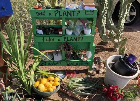 Plant Libraries..? https://thisistucson.com/tucsonlife/youve-heard-of-little-free-libraries-now-tucson-is-home-to-little-free-plant-stands/article_78a26236-8da4-11eb-b302-cf15aef3f868.html Little Free Pantry, Plant Library, Spring Gardens, Plants Pots, Plant Home, Garden Stand, Diy Gardening, Big Garden, School Garden