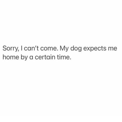 😏😂😍 It’s a dog mom thing Husky Mom Quotes, Dog Quotes Aesthetic, Dog Mom Quotes Humor, Dog Mom Aesthetic, Funny Dog Quotes, Dog Mom Quotes, Higher Vibration, Husky Mom, Dog Quotes Funny