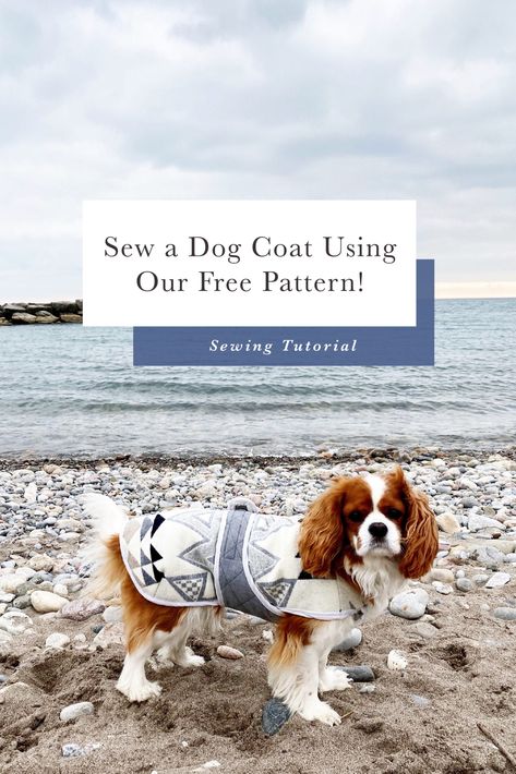 Couture, Patchwork, Dog Coat Patterns Free Sewing, Dog Winter Coat Pattern Free, Dog Jackets Diy Patterns, Quilted Dog Coat Pattern, Quilted Dog Coat, Small Dog Jacket Pattern Free, Dog Coat Pattern Free Printable