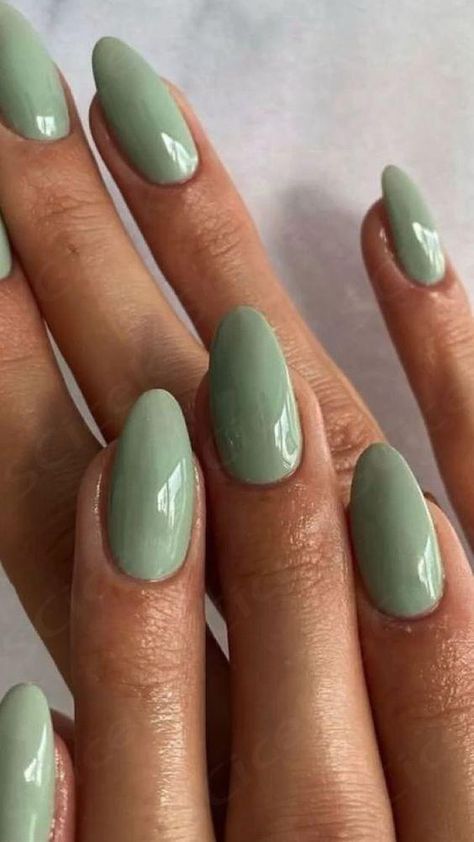 Discover chic and sophisticated trends for your summer nails! Explore elegant designs and minimalist styles to elevate your look. Summer Wedding Nails, Fall Nails Trendy, June Nails, Latest Nail Art Designs, Mint Green Nails, Autumn Looks, Mint Nails, Beachy Nails, Festive Nail Art