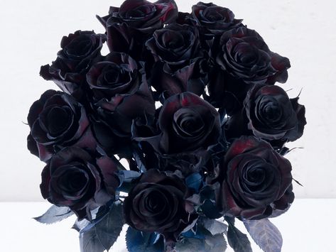 The Magic and Mystery of our Top 10 Black Flowers - Interflora Black Velvet Petunia Aesthetic, Petunia Aesthetic, Black Velvet Petunia, Daring Charming, Black Petunias, Magic And Mystery, Chocolate Cosmos, Halloween Flowers, Dark Flowers