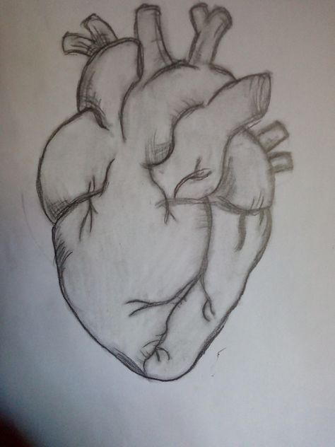 Aesthetic Drawings Pencil, Heart Sketch Aesthetic, Art Inspiration Drawing Ideas, Heart Drawing Aesthetic, رسم كاريكاتير, Easy Love Drawings, Cool Pencil Drawings, Meaningful Drawings, Seni Dan Kraf