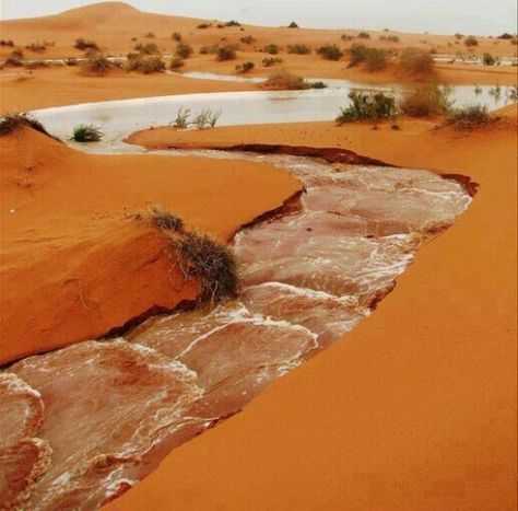 Deserts Of The World, Desert Oasis, المملكة العربية السعودية, Desert Landscape, Desert Landscaping, In The Desert, Sand Dunes, The Sand, The Desert