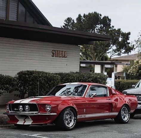 1968 Ford Mustang Fastback, Mustang Gt 350, Red Mustang, Ford Mustang Shelby Gt, Vintage Mustang, Aesthetic Cool, Ford Mustang Car, Auto Retro, Ford Mustang Fastback