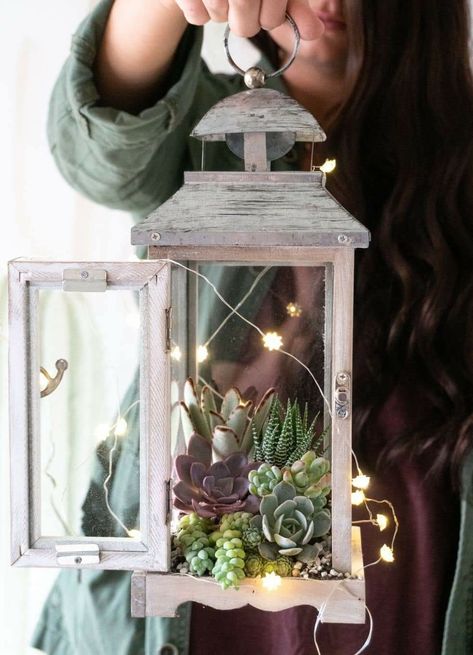 Lantern With Succulents, Succulents In Lanterns, Patio Lanterns Decor Ideas, Plant Based Quotes, Spring Lantern Decor Ideas, Terrarium Aesthetic, Outdoor Lantern Ideas, Succulent Lantern, Plant Based Aesthetic