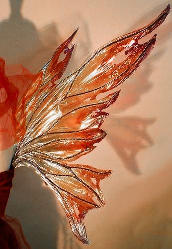 Orange Fairy Costume, Fire Fairy Costume, Fire Fairies, Fairy Wings Aesthetic, Wings Aesthetic, Bloom Aesthetic, Orange Fairy, Faerie Aesthetic, Fire Costume