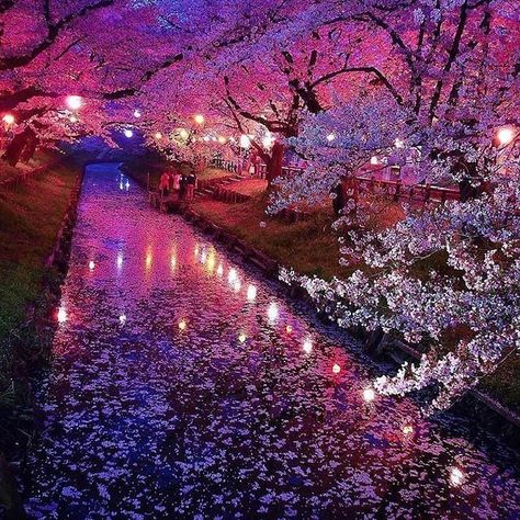 Wow! Absolutely Beautiful #Kawagoe #Japan #Followme and tag your friends and family so they can be inspired by #luxurytravel as well.  : @t.hagi1013 Kawagoe Japan, Japan Cherry Blossom, Cherry Blossom Wallpaper, Cherry Blossom Japan, Japan Photo, Happy Vibes, Blossom Trees, Pretty Places, Dream Destinations