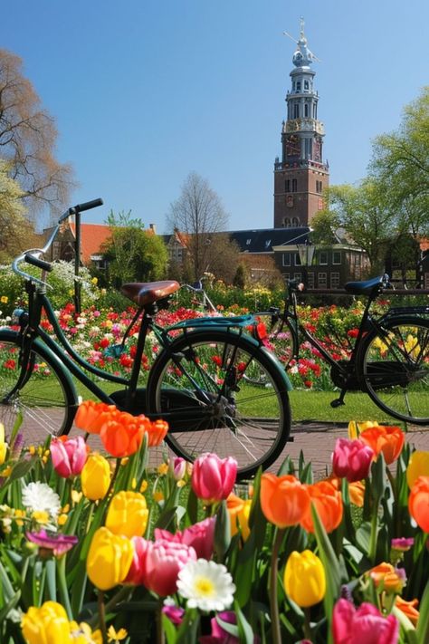 Pedal Through the Picturesque Streets of Amsterdam 🚲✨ Discover Amsterdam's charming canals and historic streets on a bike. Enjoy the city's extensive cycling paths and explore its iconic landmarks at your own pace. 🌿🇳🇱 #Amsterdam #CyclingTour #UrbanAdventure #Cityscape Amsterdam Landmarks, Top Places To Travel, Cycling Tour, At Your Own Pace, Your Own Pace, Historical Landmarks, Amsterdam Netherlands, Iconic Landmarks, Beautiful Places To Travel