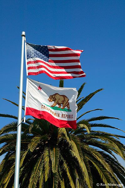 Bedroom Concept, Life In Usa, Fabric Protector, Sweet California, California State Flag, California Palm Trees, Moodboard Inspo, California Travel Guide, California Flag