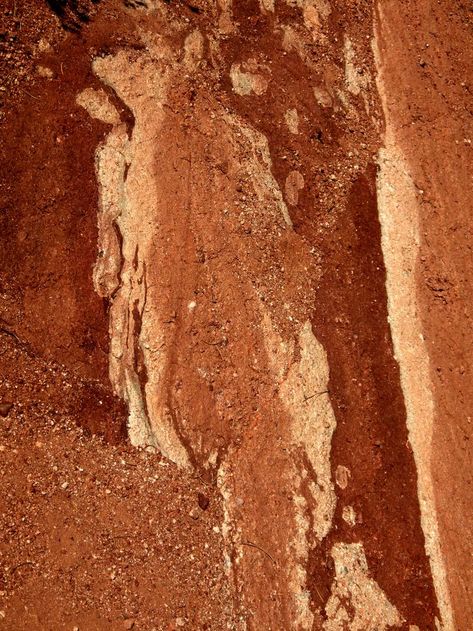 KDS Photo, Colorado, Colorado Springs Garden of the Gods, red sandstone rock outcrop with coloured patterns Red Rock Aesthetic, Coyote Photography, Colorado Springs Aesthetic, Colorado Red Rocks, Sandstone Texture, Sandstone Rock, Desert Places, Red Desert, Red Sandstone